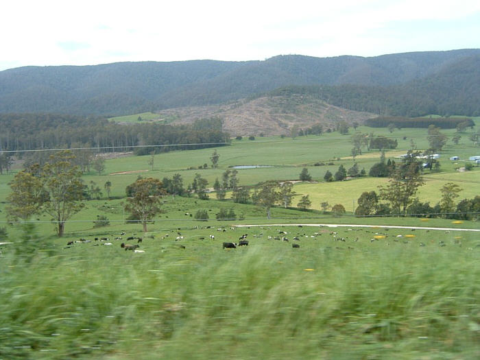 09 Tasmania.jpg